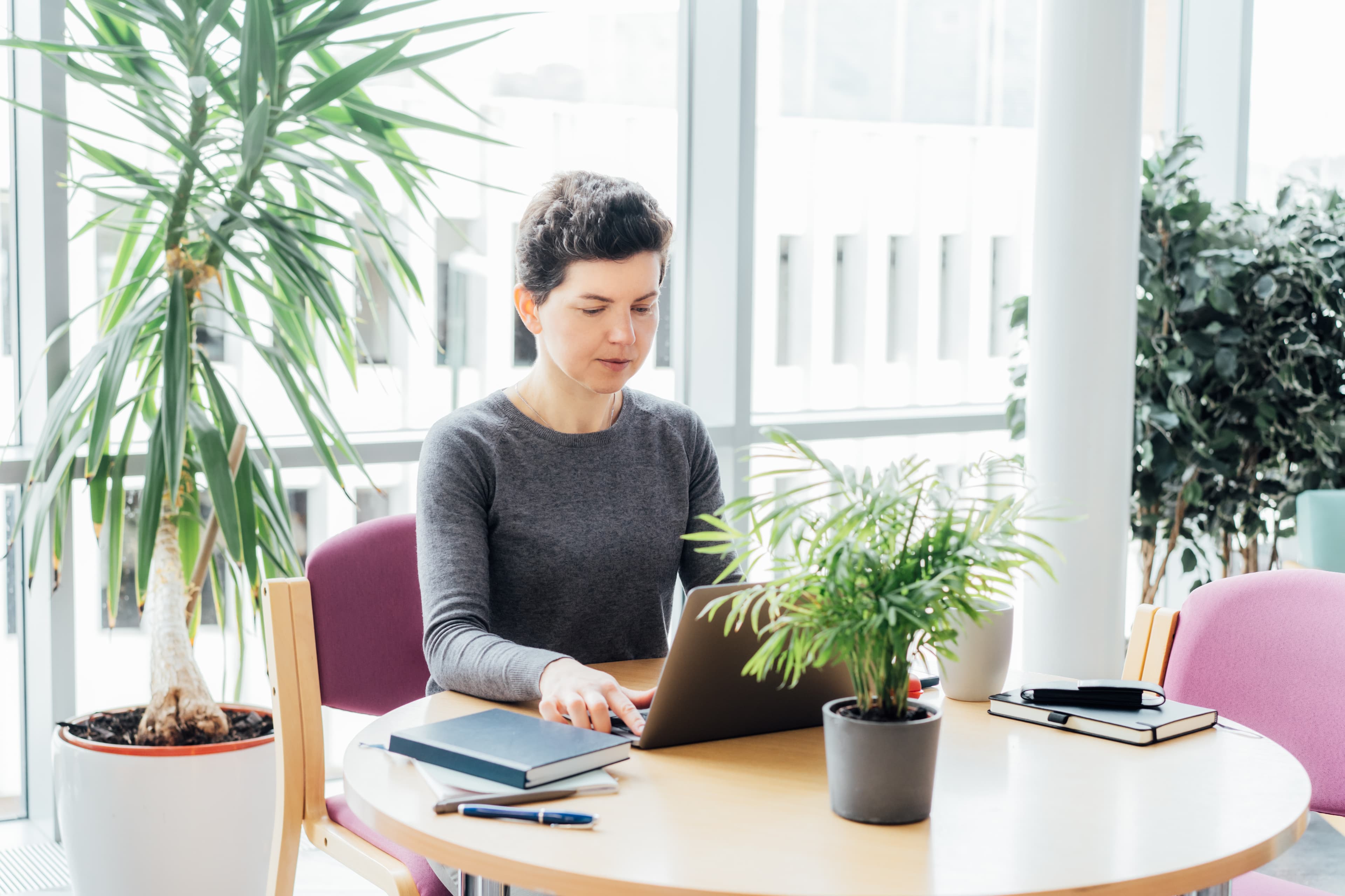 Image - Apply Online or via Email