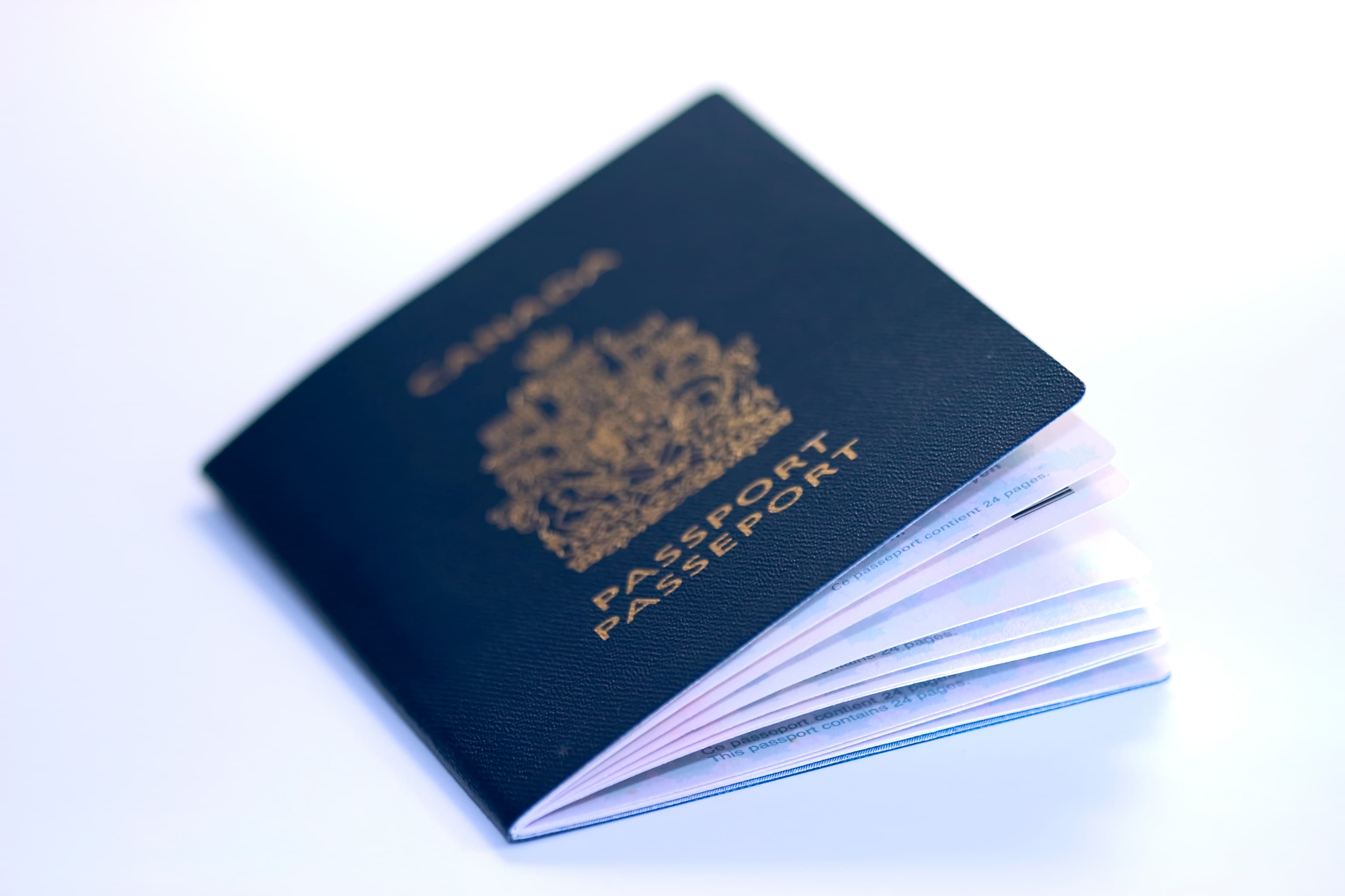 Government-Issued ID